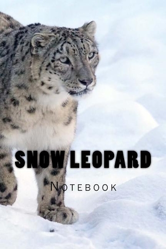 Snow Leopard