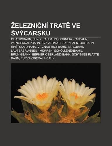 Elezni Ni Trat Ve Vycarsku