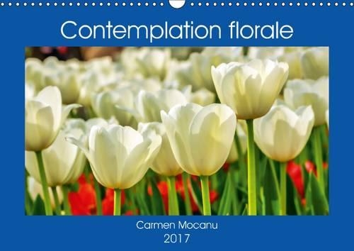 Contemplation Florale 2017