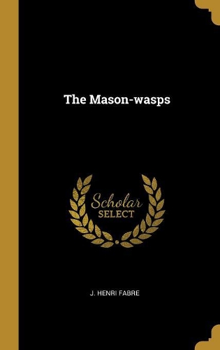 The Mason-Wasps