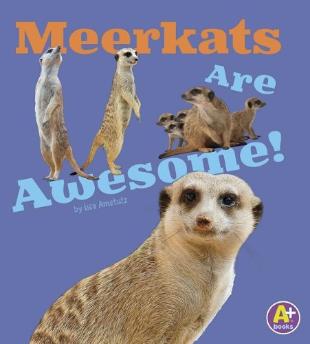 Awesome African Animals Meerkats are Awesome