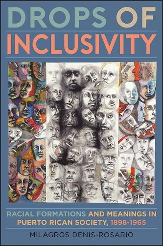 Drops of Inclusivity: Racial Formations and Meanings in Puerto Rican Society, 1898-1965(Suny Series, Afro-Latinx Futures)