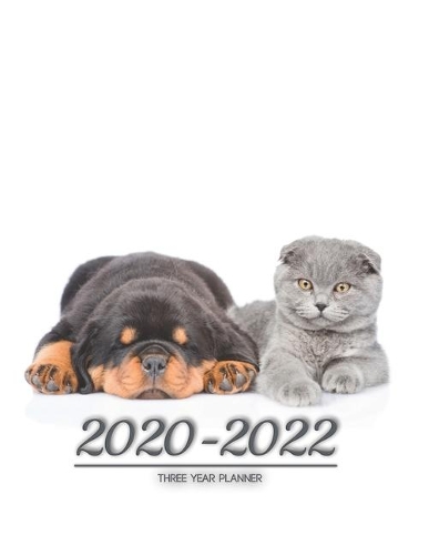 2020-2022 three year planner