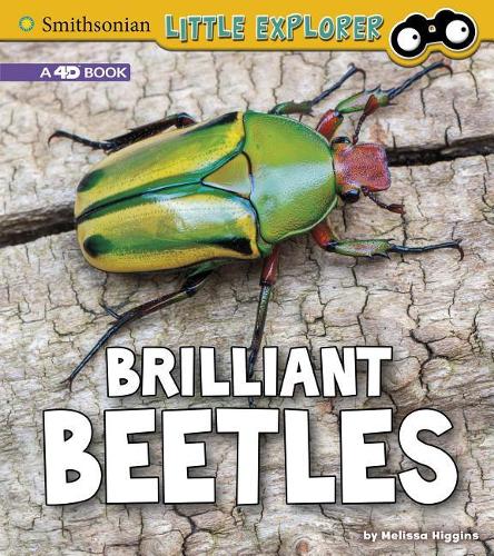 Little Entomologist 4D Brilliant Beetles a 4D Book