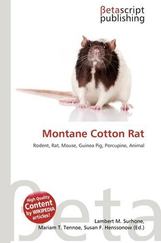Montane Cotton Rat: (English)