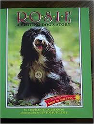 Houghton Mifflin Soar to Success: Reader, Level 4 Set 7 Rosie Visiting