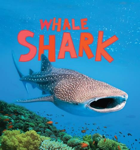 Discover Sharks: Whale Shark: (Discover Sharks)