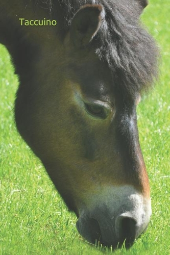 Taccuino: Allievo Scolastico Scolastico Notebook Allineati Studente Cavalli