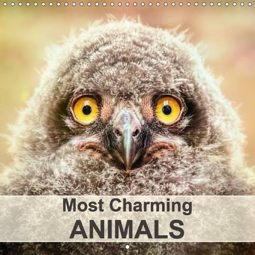 Most Charming Animals 2017: Adorable Animals That Touch the Heart(Calvendo Places)