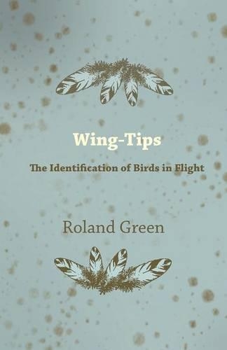 Wing-Tips - The Identification of Birds in Flight: (English)