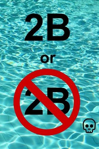 2B or not 2B: Lined Pages Journal / Diary/ Notebook - 6x9 inches ( DIN 5), 100 Pages