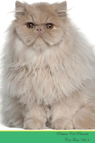 Persian Cat Presents