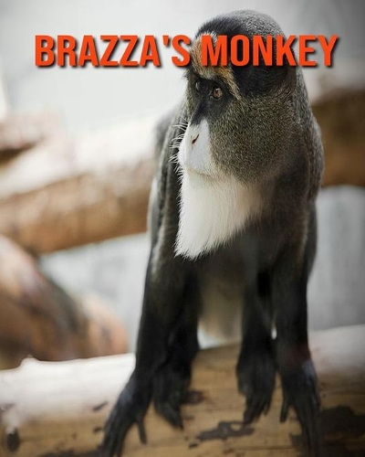 Brazza's Monkey