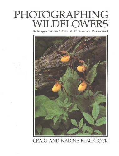 Photographing Wildflowers