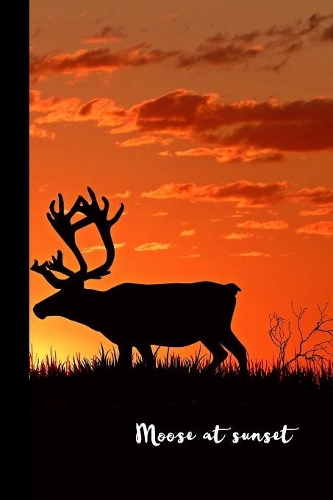 Moose at sunset