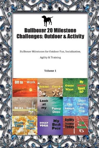 Bullboxer 20 Milestone Challenges
