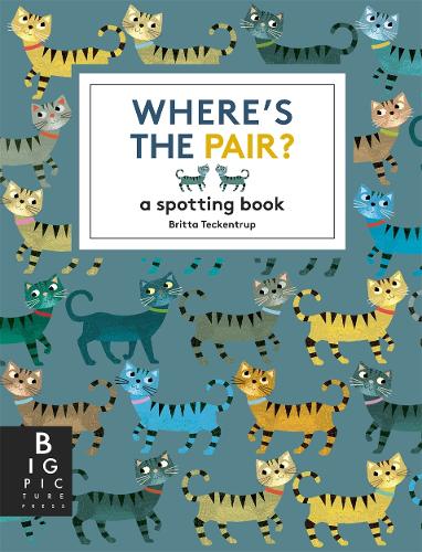 Where's the Pair?: A Spotting Book(Big Picture Press)
