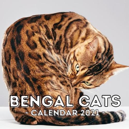 Bengal Cats: 2021 Wall Calendar, Cute Gift Idea For Bengal Lovers Or Owners Men And Women