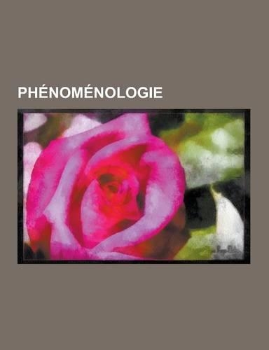 Phenomenologie