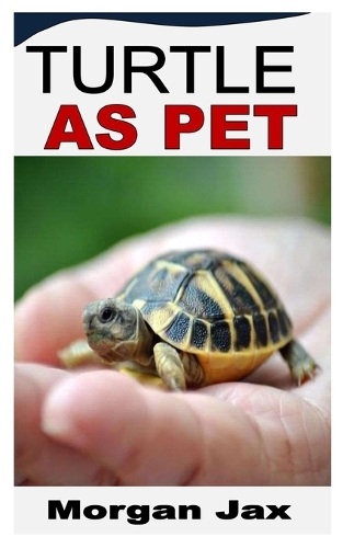 Turtle as Pet