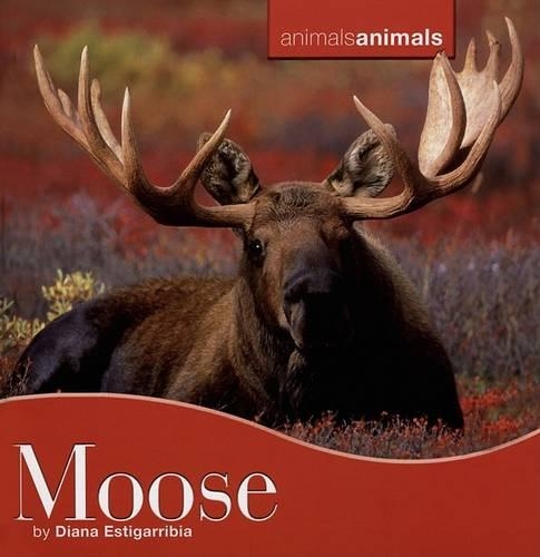 Moose