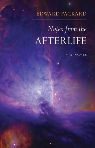 Notes from the Afterlife -- a novel