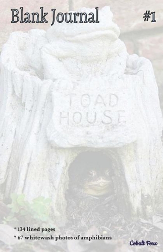 Blank Journal #1