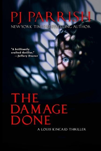 The Damage Done: A Louis Kincaid Thriller(Louis Kincaid)