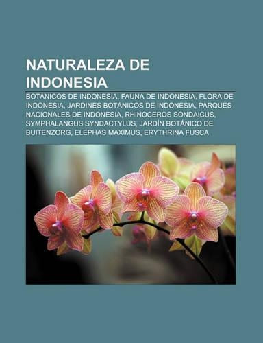 Naturaleza de Indonesia