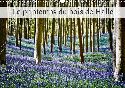 Le printemps du bois de Halle 2019