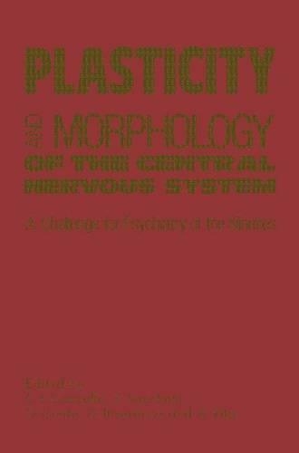 Plasticity and Morphology of the Central Nervous System
