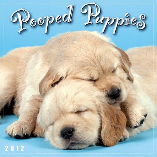 Pooped Puppies 2012 Calendar
