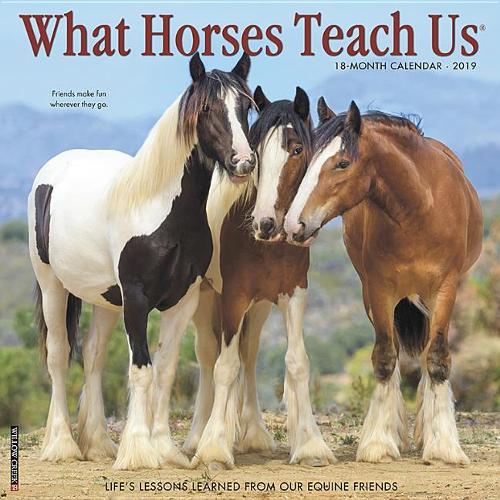 What Horses Teach Us 2019 Wall Calendar
