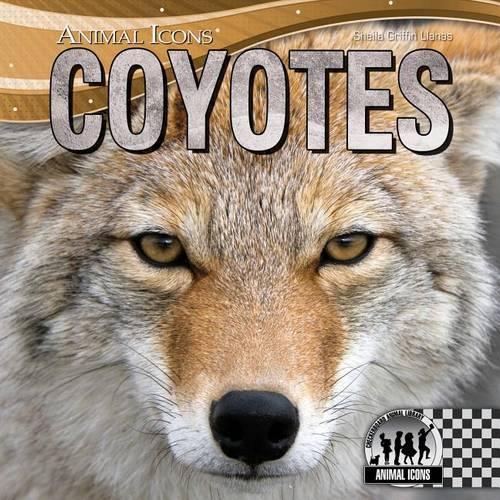 Coyotes: (Animal Icons)