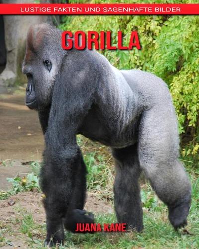 Gorilla
