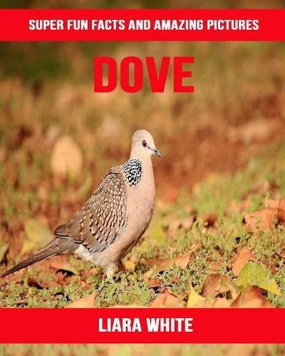 Dove: Super Fun Facts and Amazing Pictures