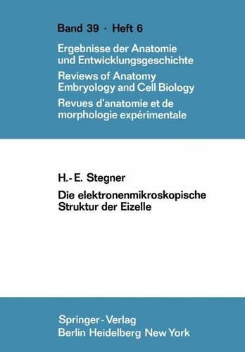 Die elektronenmikroskopische Struktur der Eizelle