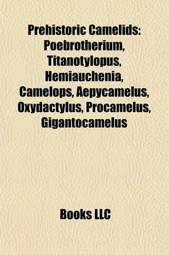 Prehistoric Camelids