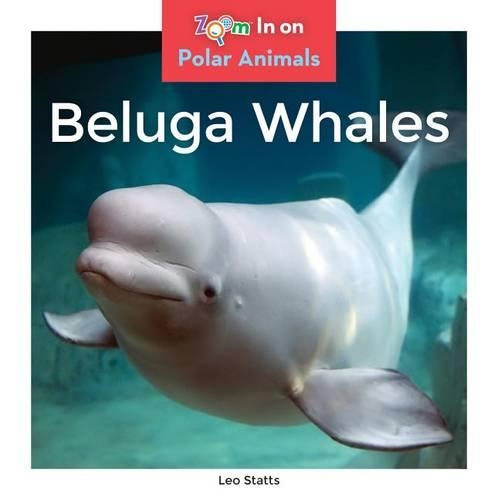 Beluga Whales: (Polar Animals)