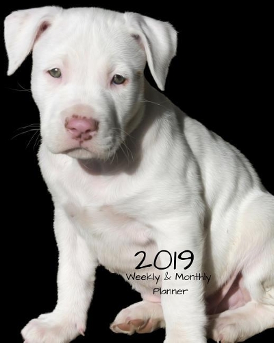 2019 Weekly and Monthly Planner