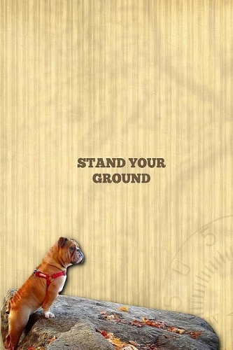 Stand Your Ground