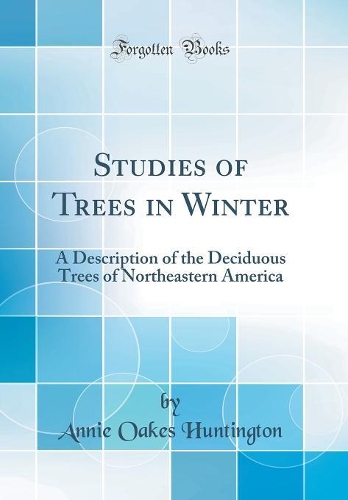Studies of Trees in Winter: A Description of the Deciduous Trees of Northeastern America (Classic Reprint)