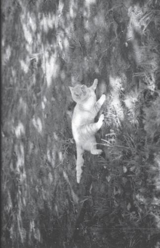 The Luxury of Time: 4.79