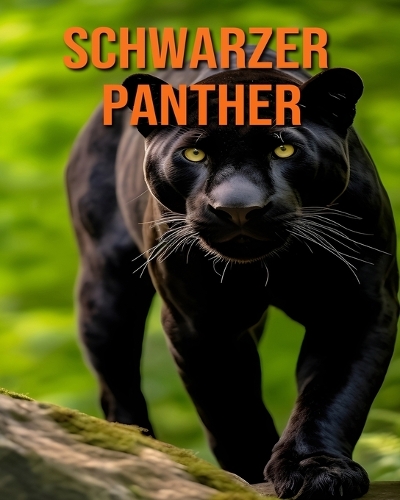 Schwarzer Panther
