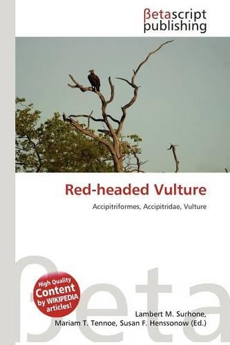 Red-Headed Vulture