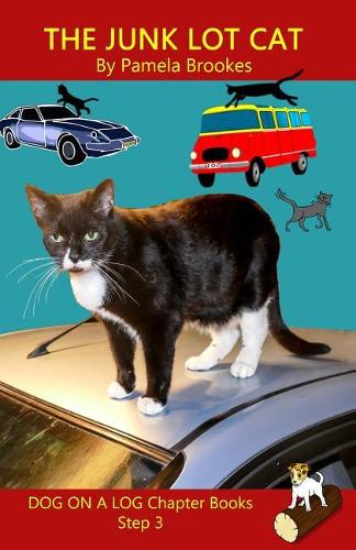 Junk Lot Cat Chapter Book