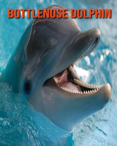 Bottlenose Dolphin