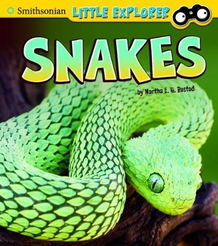 Snakes (Little Scientist)
