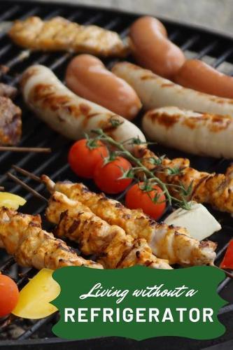 Living Without a Refrigerator: Blank Lined Journal Notebook Diary Logbook Planner Gift