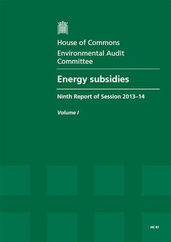 Energy subsidies